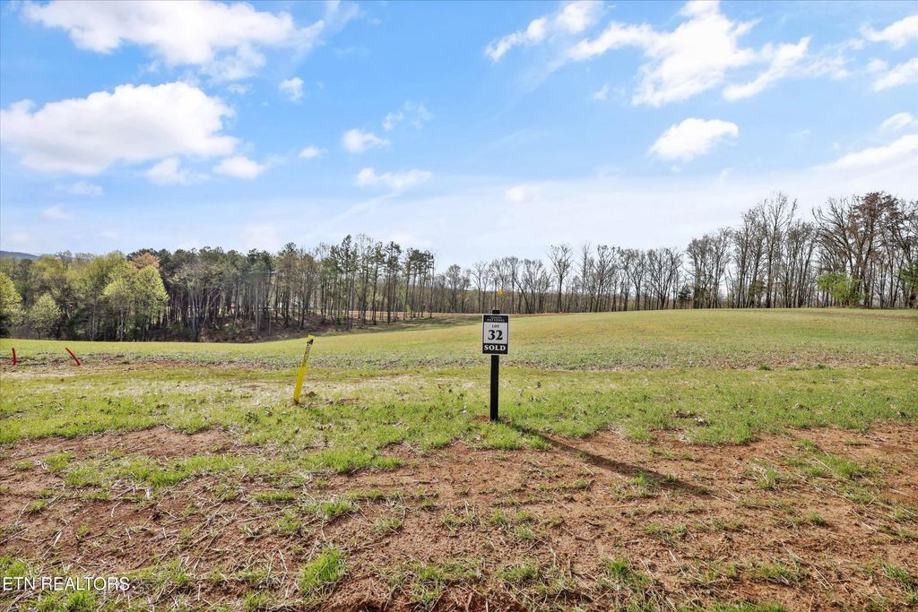 Photo of 4080 Old Dogwood Tr, Loudon, TN 37774 (MLS # 1334197)