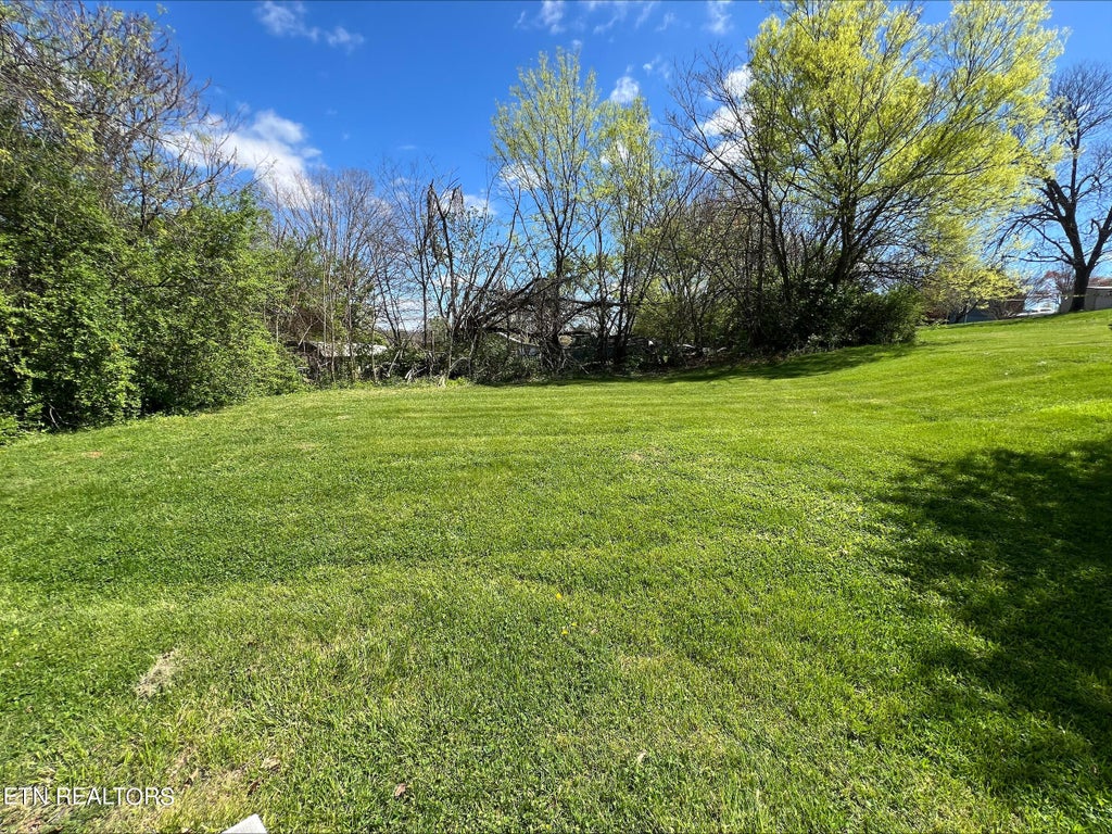 Photo of 1229 Sugar Fork Rd Rd, Dandridge, TN 37725 (MLS # 1258492)