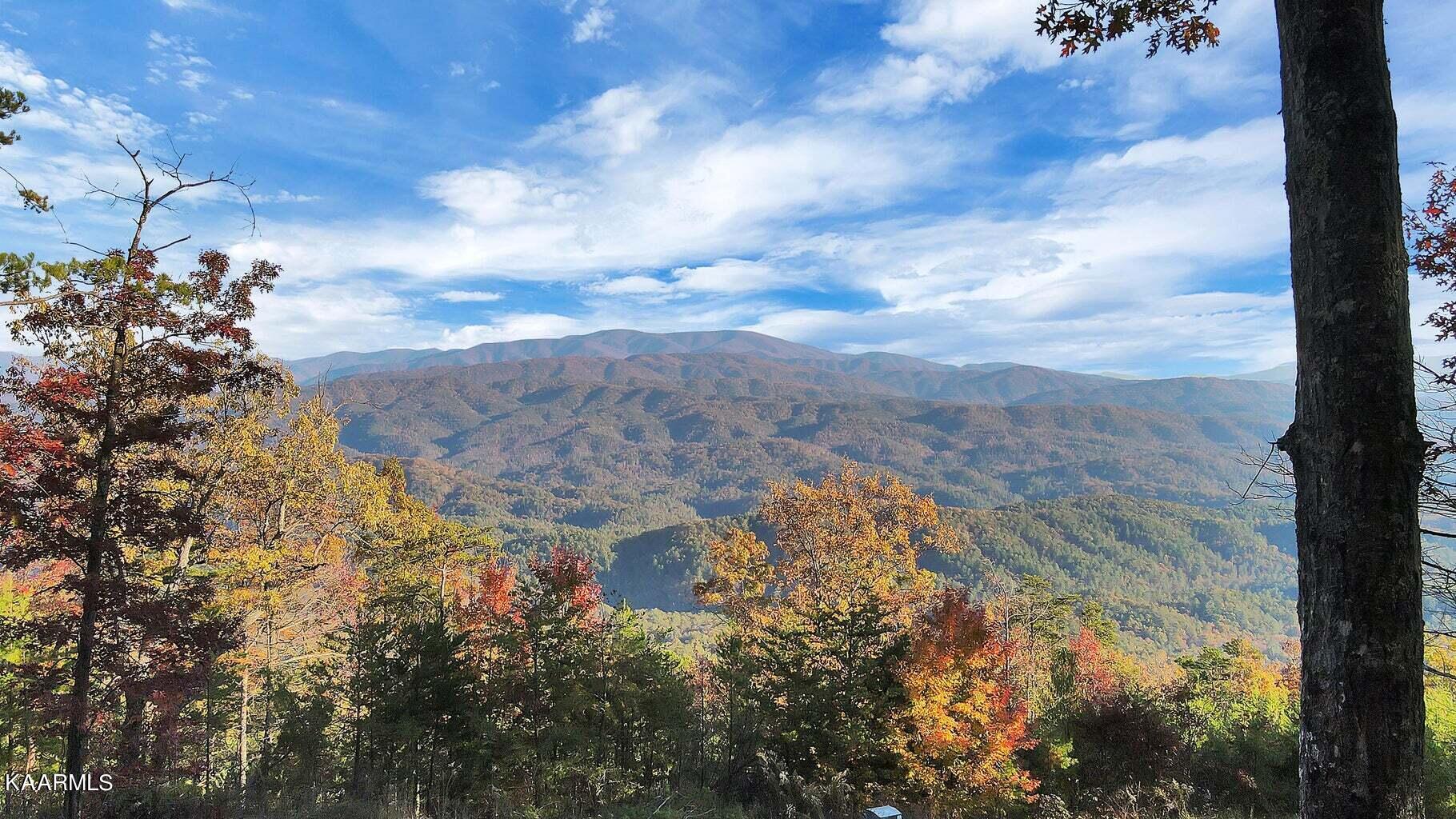 Tract 29R4 Chilhowee Mountain Tr