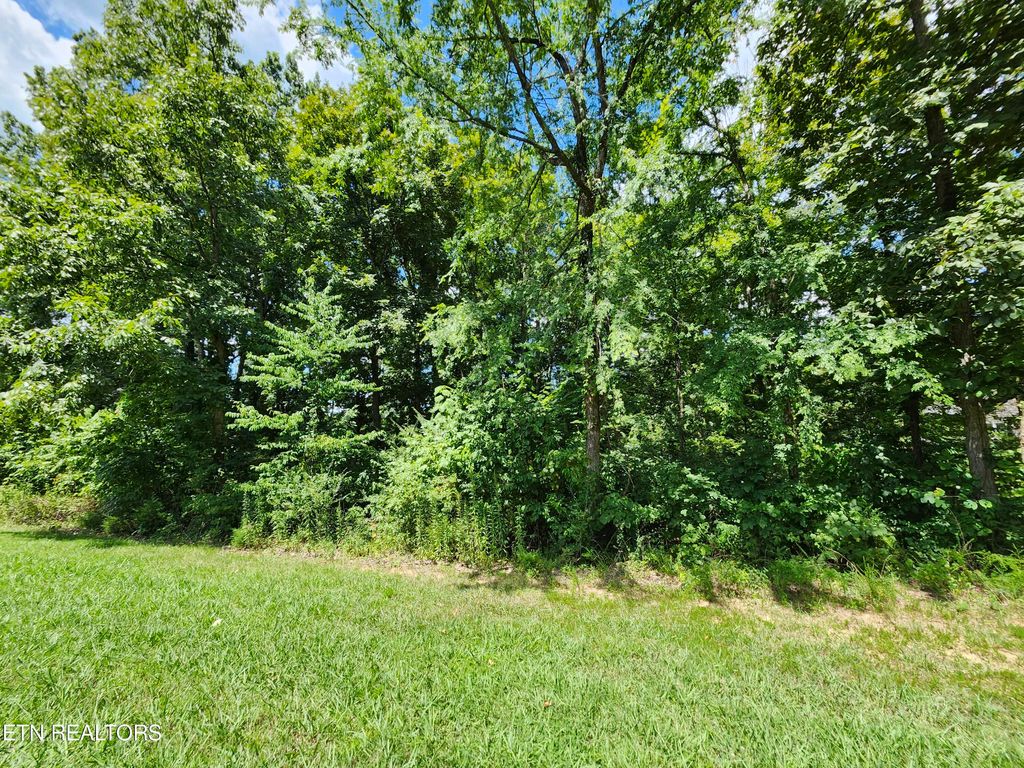 Photo of 128 Lanyard Lane, Louisville, TN 37777 (MLS # 1273073)