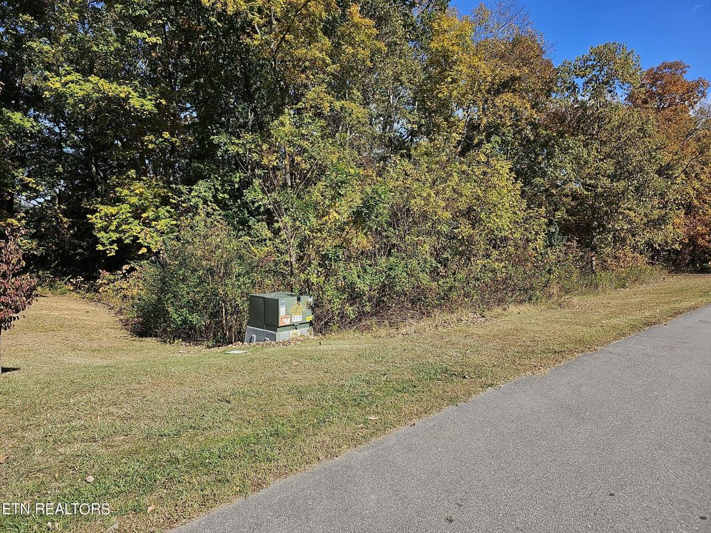 Photo of 128 Lanyard Lane, Louisville, TN 37777 (MLS # 1273073)