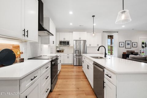 Tiny photo for 8011 Campbells Point Rd, Corryton, TN 37721 (MLS # 1317708)