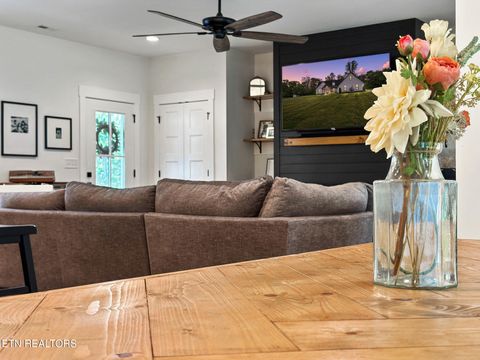 Tiny photo for 8011 Campbells Point Rd, Corryton, TN 37721 (MLS # 1317708)
