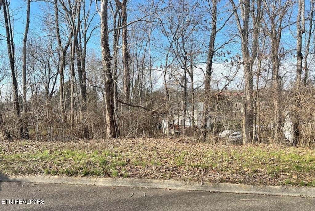 Photo of 6024 Tennyson Drive, Knoxville, TN 37909 (MLS # 1347367)