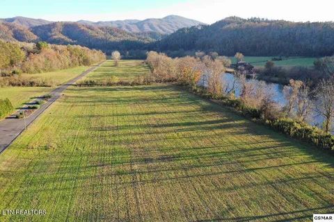 Photo of River Rapids Way, Del Rio, TN 37727 (MLS # 1336074)