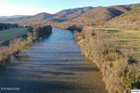 Tiny photo for River Rapids Way, Del Rio, TN 37727 (MLS # 1336074)