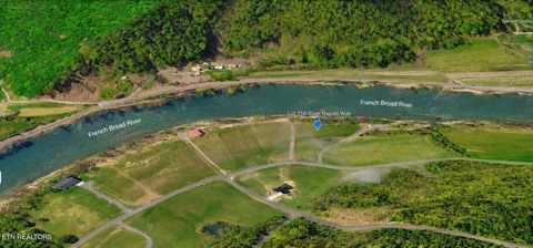 Tiny photo for River Rapids Way, Del Rio, TN 37727 (MLS # 1336074)