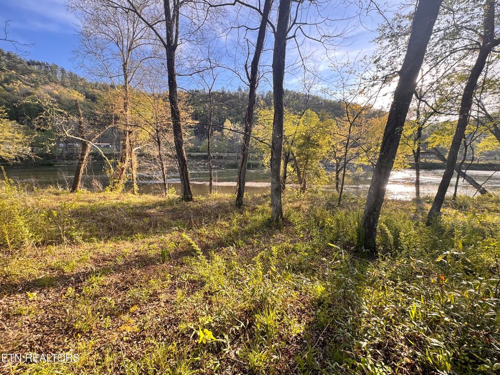 Photo of River Rapids Way, Del Rio, TN 37727 (MLS # 1336074)