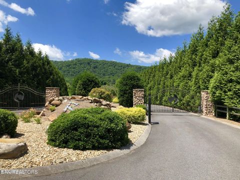 Tiny photo for River Rapids Way, Del Rio, TN 37727 (MLS # 1336074)