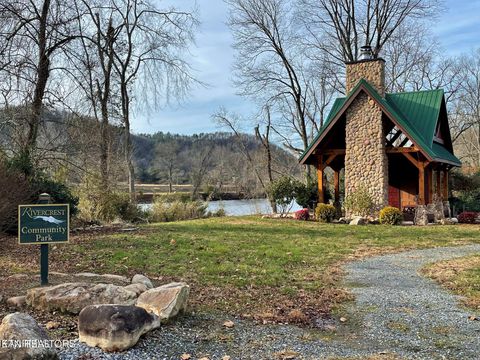 Tiny photo for River Rapids Way, Del Rio, TN 37727 (MLS # 1336074)