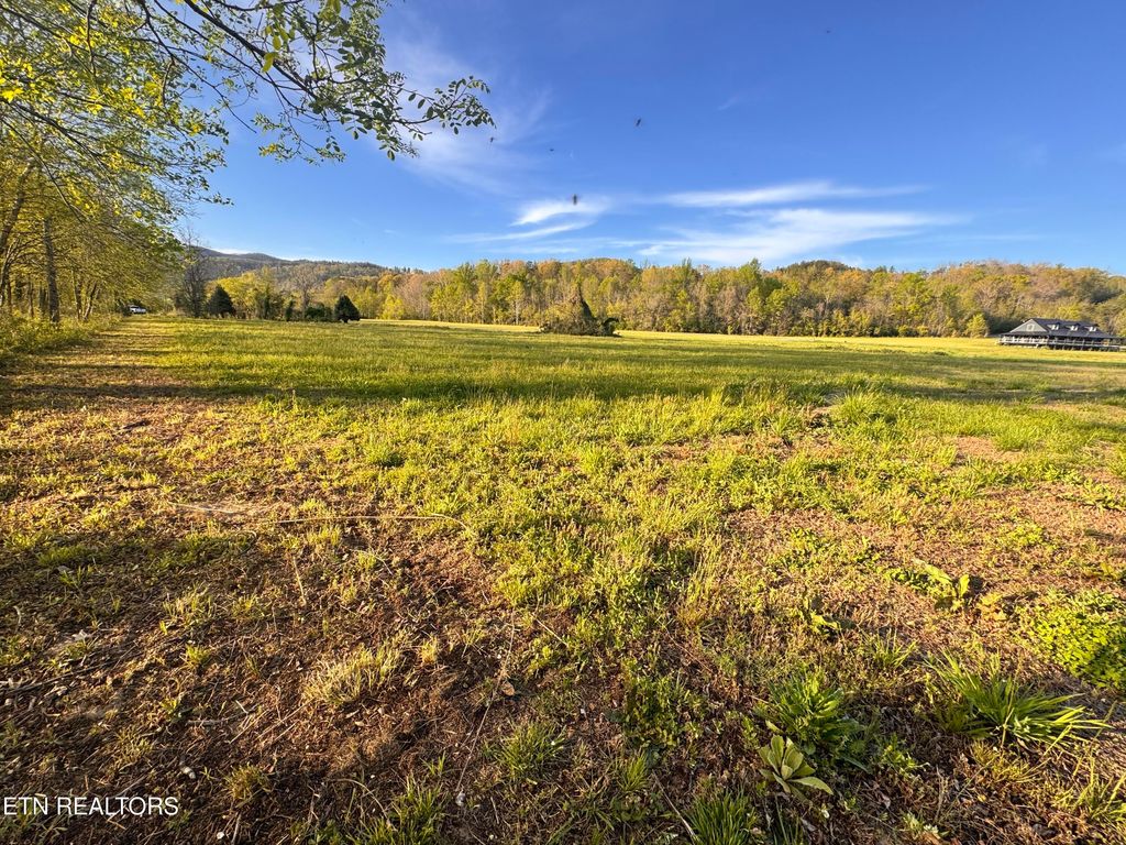 Photo of River Rapids Way, Del Rio, TN 37727 (MLS # 1336074)