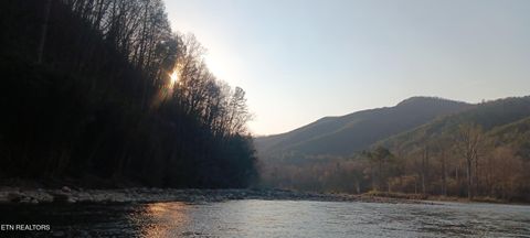 Tiny photo for River Rapids Way, Del Rio, TN 37727 (MLS # 1336074)