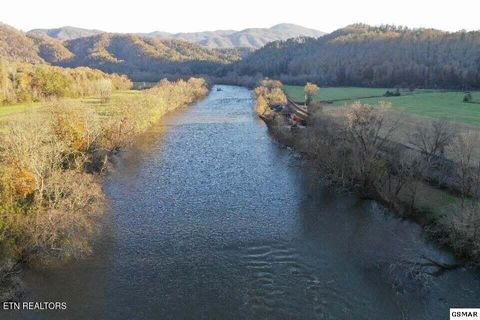 Tiny photo for River Rapids Way, Del Rio, TN 37727 (MLS # 1336074)