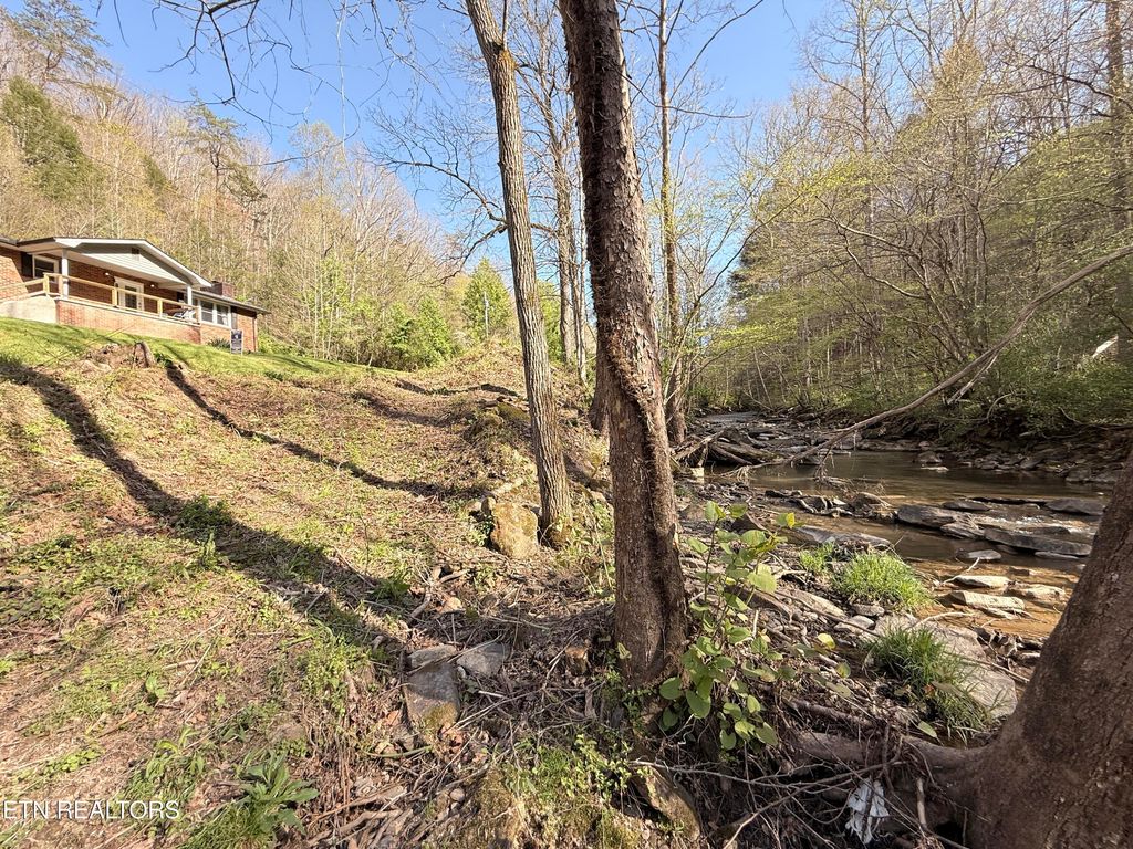 Photo of 739 Rock Creek Ln Ln, LaFollette, TN 37766 (MLS # 1292258)