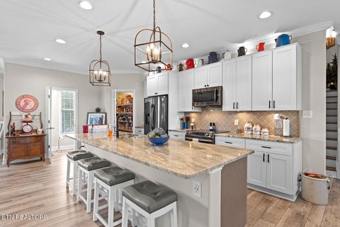 Tiny photo for 122 Nunnehi Tr, Vonore, TN 37885 (MLS # 1314645)