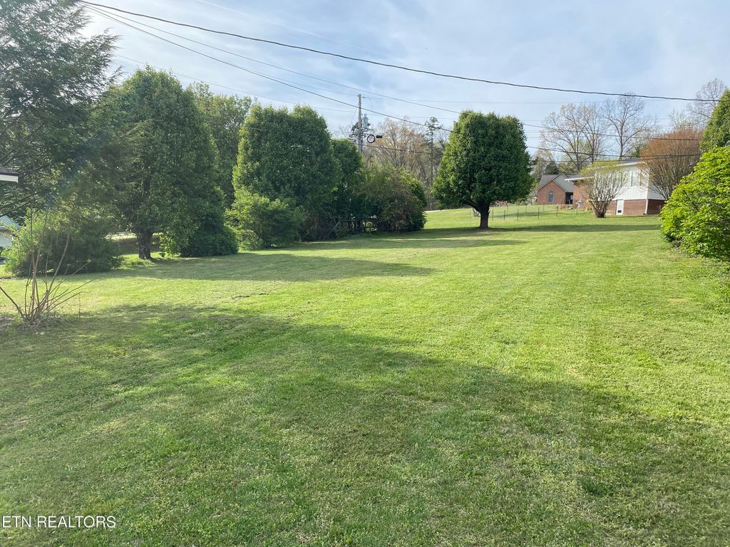 Photo of 230 Adair Drive, New Tazewell, TN 37825 (MLS # 1337361)