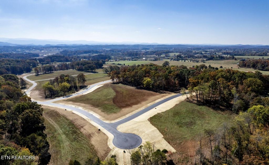 Photo of 1211238 Kellys View Drive, Greenback, TN 37742 (MLS # 1265071)