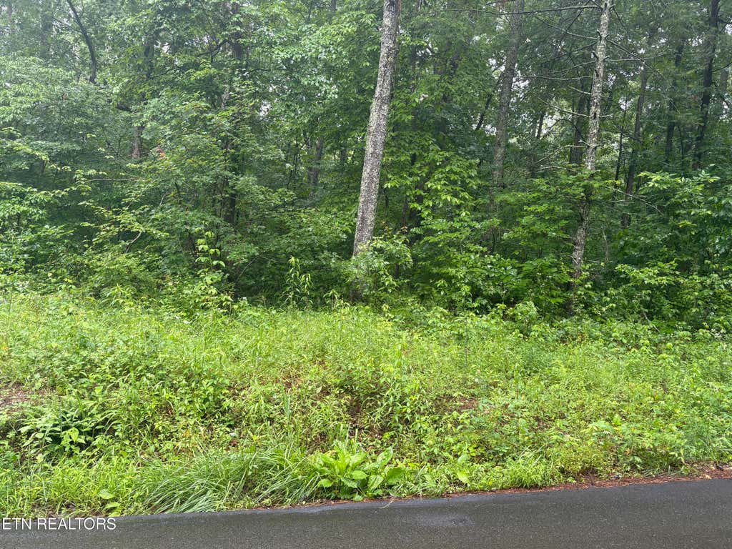 Photo of Brown Creek Drive, Crossville, TN 38571 (MLS # 1344125)