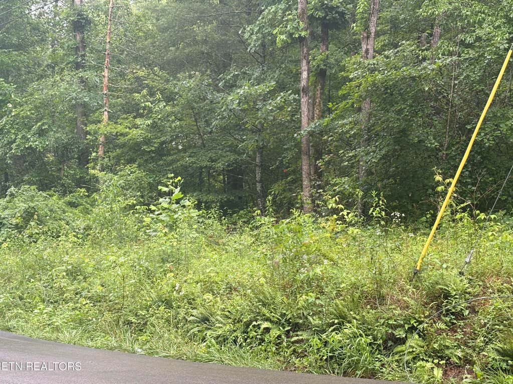Photo of Brown Creek Drive, Crossville, TN 38571 (MLS # 1344125)