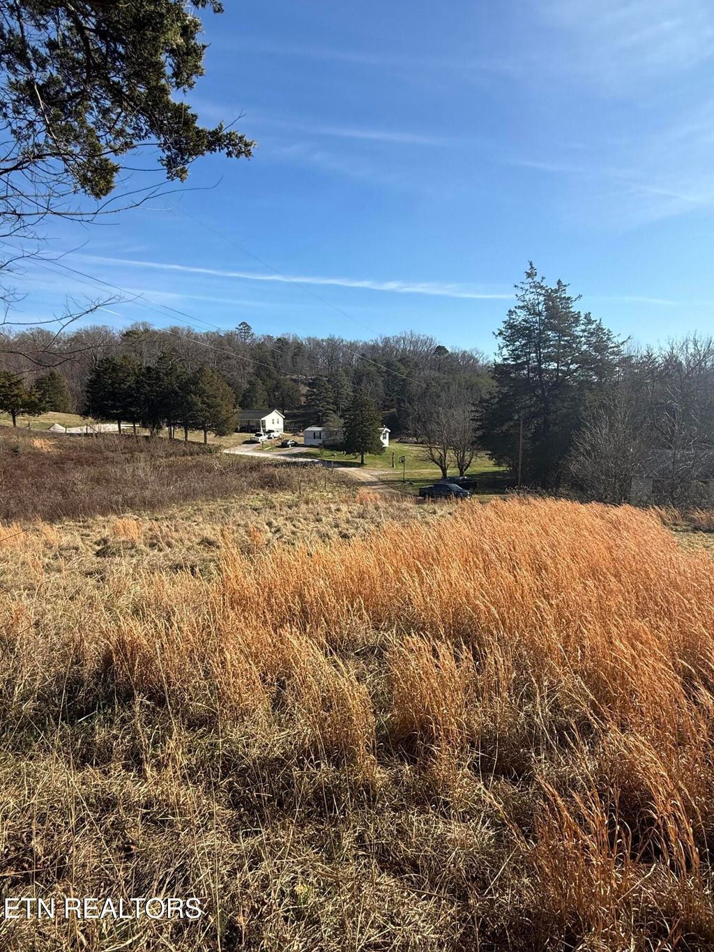 Photo of 267 Chestnut Ridge Rd, Andersonville, TN 37705 (MLS # 1325780)