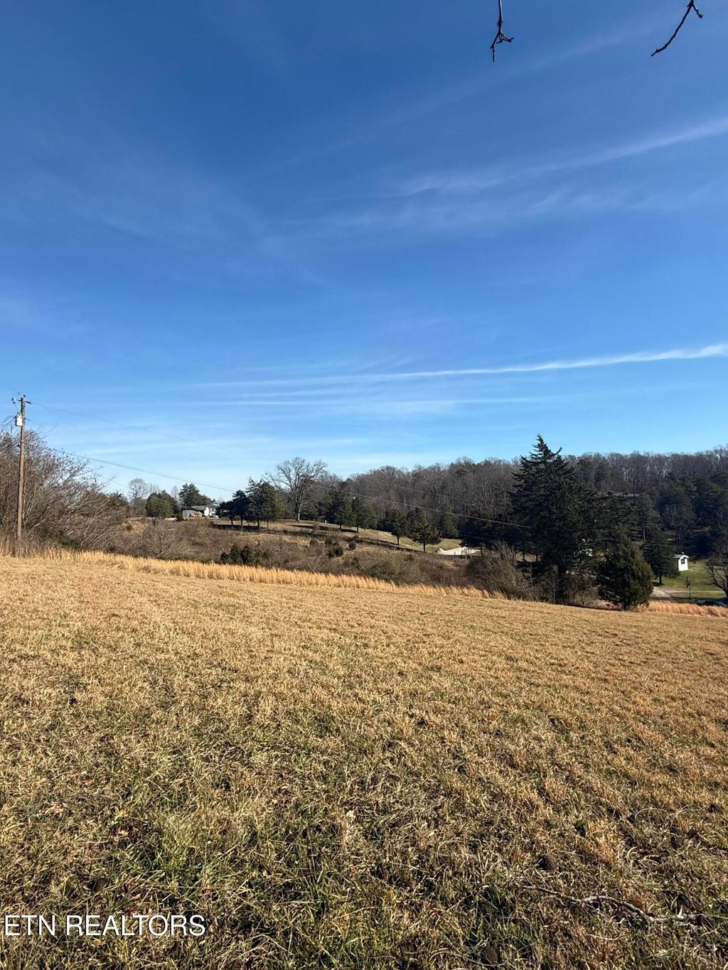 Photo of 267 Chestnut Ridge Rd, Andersonville, TN 37705 (MLS # 1325780)
