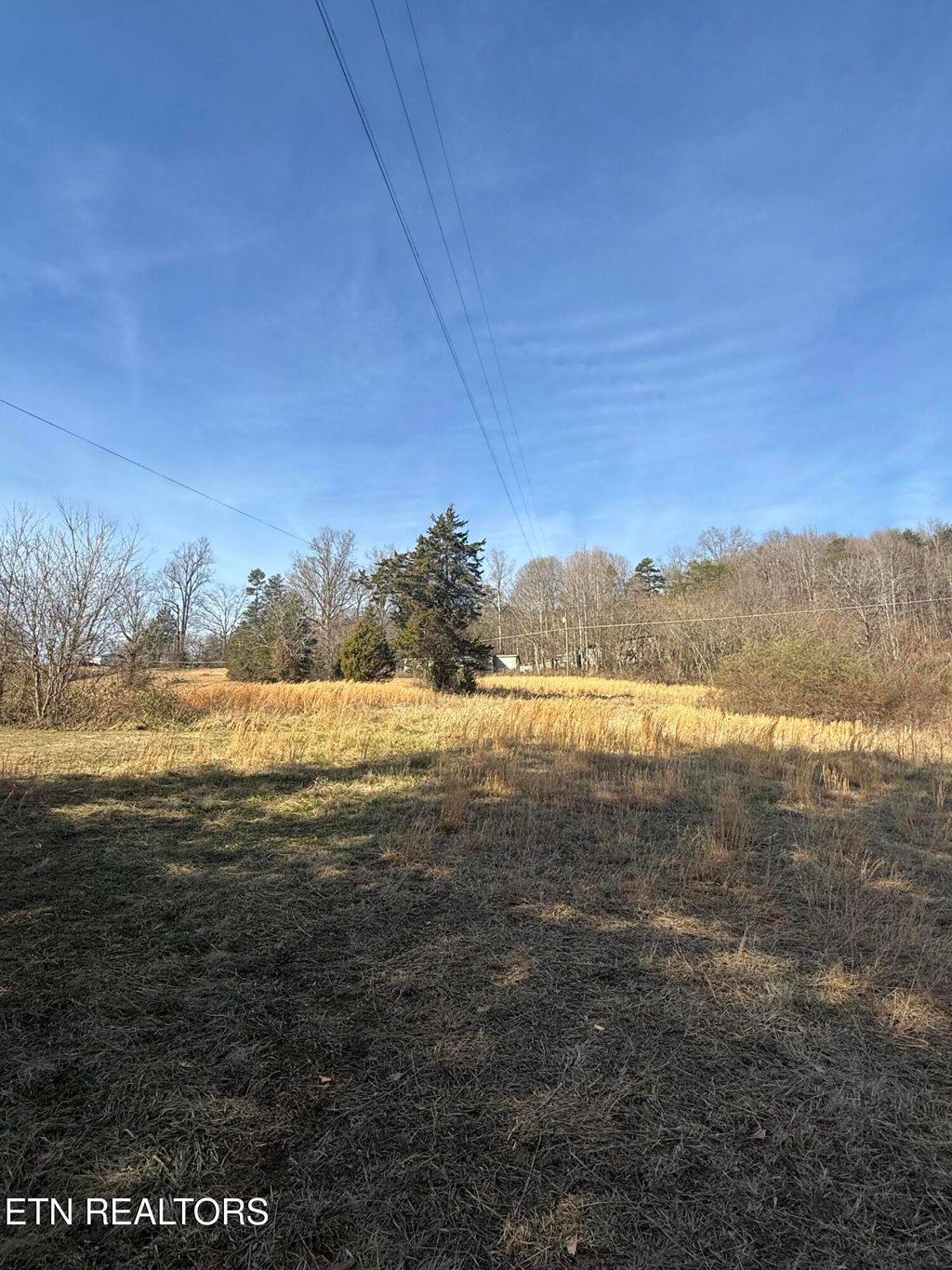 Photo of 267 Chestnut Ridge Rd, Andersonville, TN 37705 (MLS # 1325780)