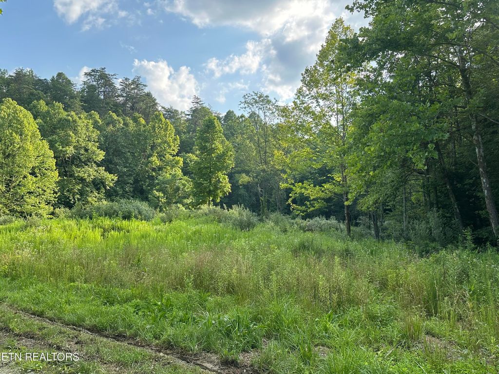 Photo of Doc Hollow off Lowes Branch Rd, LaFollette, TN 37766 (MLS # 1305950)