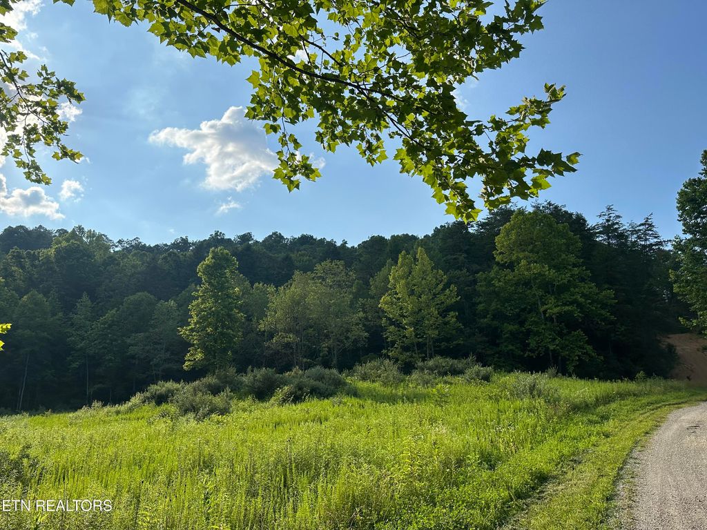 Photo of Doc Hollow off Lowes Branch Rd, LaFollette, TN 37766 (MLS # 1305950)