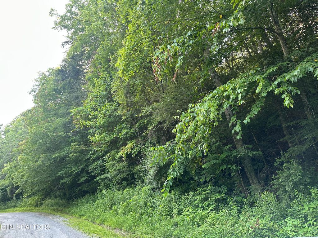Photo of Doc Hollow off Lowes Branch Rd, LaFollette, TN 37766 (MLS # 1305950)