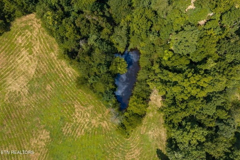 Tiny photo for 16190 Highway 321, Lenoir City, TN 37772 (MLS # 1354977)