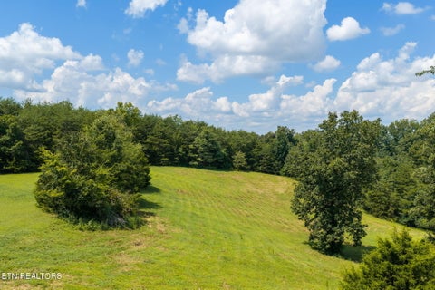 Tiny photo for 16190 Highway 321, Lenoir City, TN 37772 (MLS # 1354977)