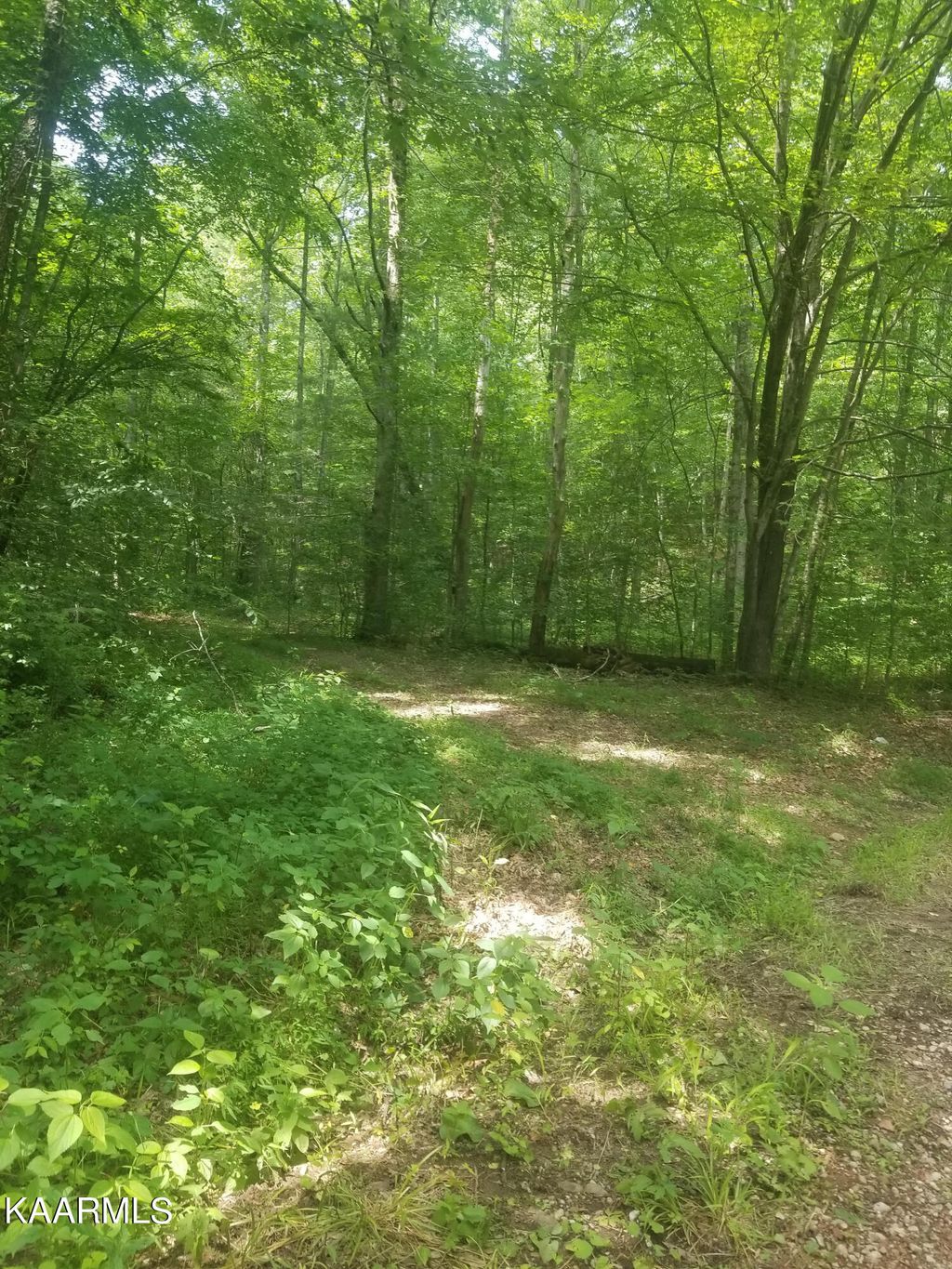 Photo of Woods Duncan Rd, Oliver Springs, TN 37840 (MLS # 1231171)