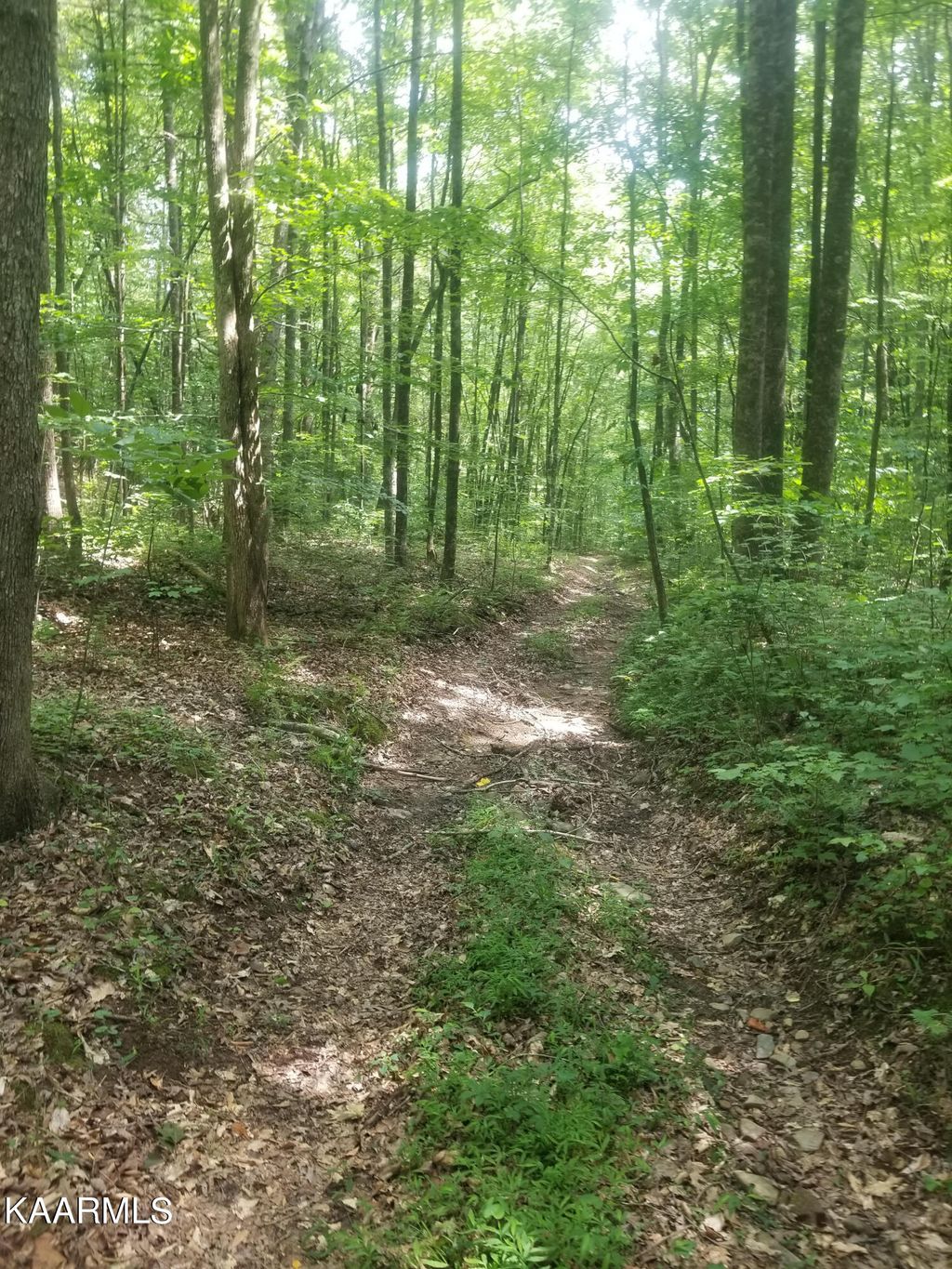 Photo of Woods Duncan Rd, Oliver Springs, TN 37840 (MLS # 1231171)