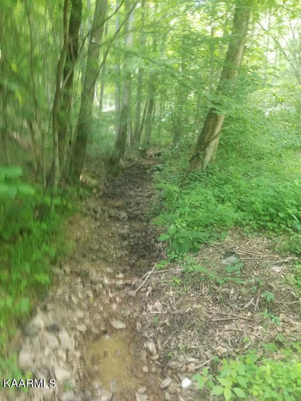Photo of Woods Duncan Rd, Oliver Springs, TN 37840 (MLS # 1231171)