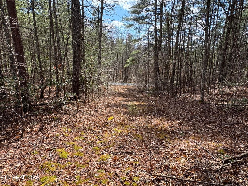 Photo of Cougar Trail 9.3, Del Rio, TN 37727 (MLS # 1294111)