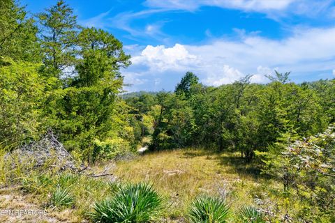 Photo of 00 Flat Creek Rd, Sevierville, TN 37876 (MLS # 1316386)