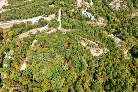 Tiny photo for 00 Flat Creek Rd, Sevierville, TN 37876 (MLS # 1316386)
