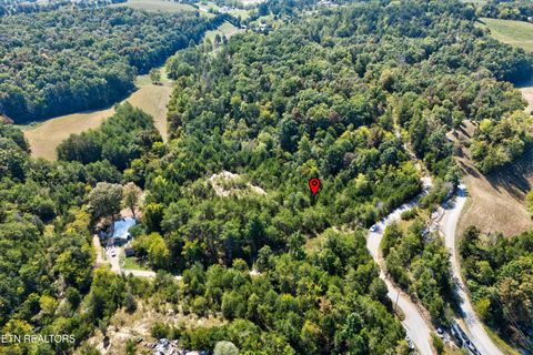 Tiny photo for 00 Flat Creek Rd, Sevierville, TN 37876 (MLS # 1316386)