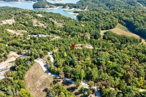 Tiny photo for 00 Flat Creek Rd, Sevierville, TN 37876 (MLS # 1316386)
