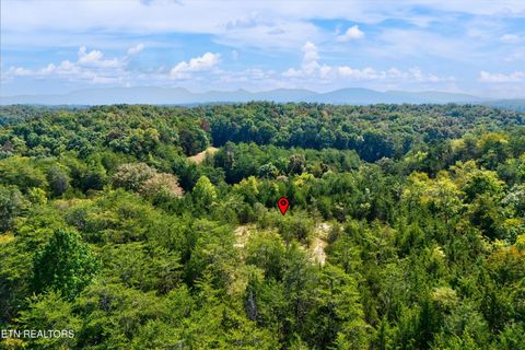 Tiny photo for 00 Flat Creek Rd, Sevierville, TN 37876 (MLS # 1316386)