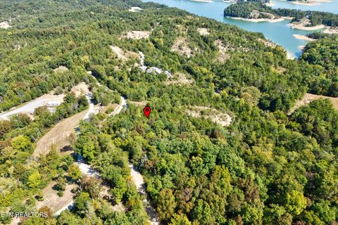 Tiny photo for 00 Flat Creek Rd, Sevierville, TN 37876 (MLS # 1316386)