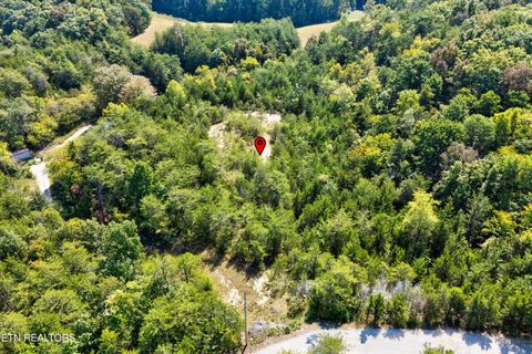 Tiny photo for 00 Flat Creek Rd, Sevierville, TN 37876 (MLS # 1316386)
