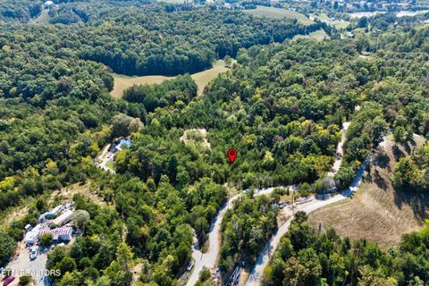 Tiny photo for 00 Flat Creek Rd, Sevierville, TN 37876 (MLS # 1316386)