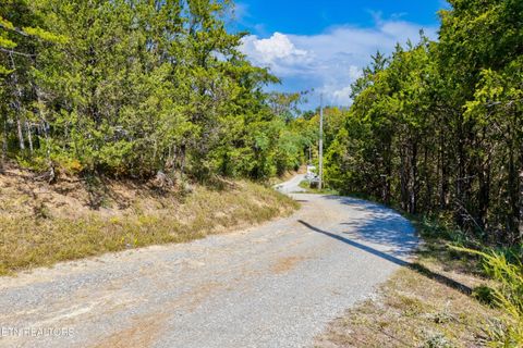 Tiny photo for 00 Flat Creek Rd, Sevierville, TN 37876 (MLS # 1316386)
