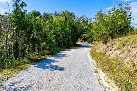 Tiny photo for 00 Flat Creek Rd, Sevierville, TN 37876 (MLS # 1316386)