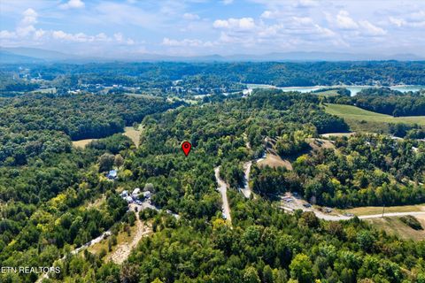 Tiny photo for 00 Flat Creek Rd, Sevierville, TN 37876 (MLS # 1316386)