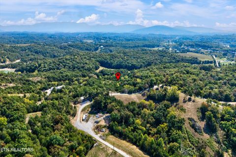 Tiny photo for 00 Flat Creek Rd, Sevierville, TN 37876 (MLS # 1316386)