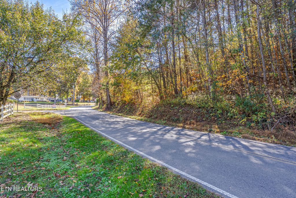 Photo of 21 Green Hill Rd, Dandridge, TN 37725 (MLS # 1321290)