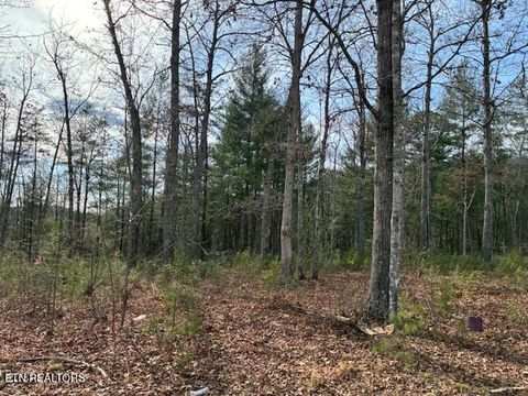 Tiny photo for Mountain Ash Way, Sevierville, TN 37876 (MLS # 1333857)