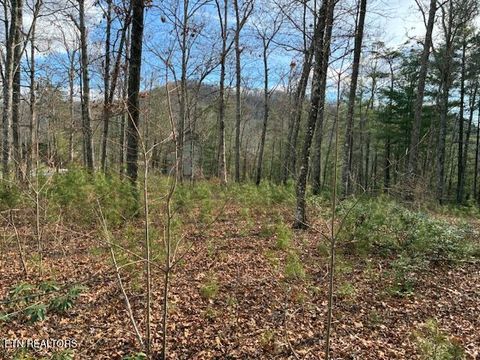 Tiny photo for Mountain Ash Way, Sevierville, TN 37876 (MLS # 1333857)